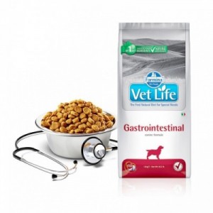 VET LIFE CANE...