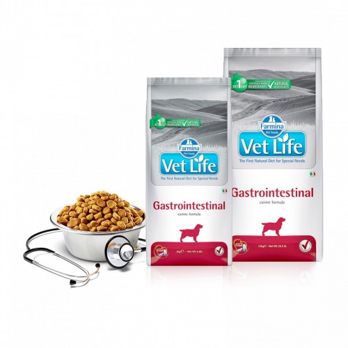 VET LIFE CANE GASTRO-INTESTINAL 2 kg