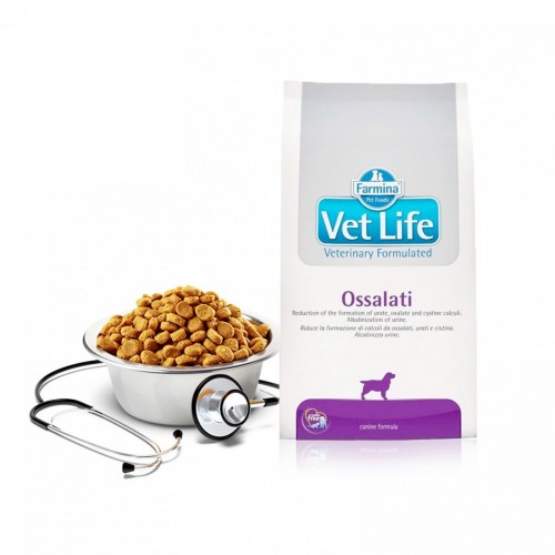 VET LIFE CANE OSSALATI 2 kg