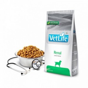VET LIFE CANE RENAL 2 kg 2