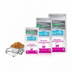 VET LIFE GATTO MANAGEMENT...