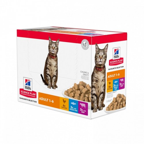 SP GATTO ADULT miste 12 bs x 85 gr