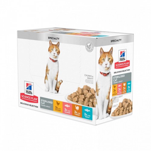 SP GATTO YOUNG ADULT miste 12 bs x 85 gr