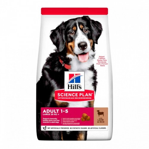 SP CANE ADULT agnello/riso large...