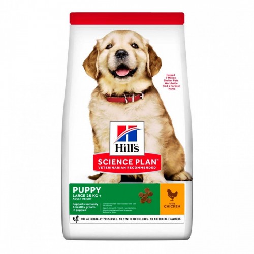 SP CANE PUPPY pollo large breed 12 kg