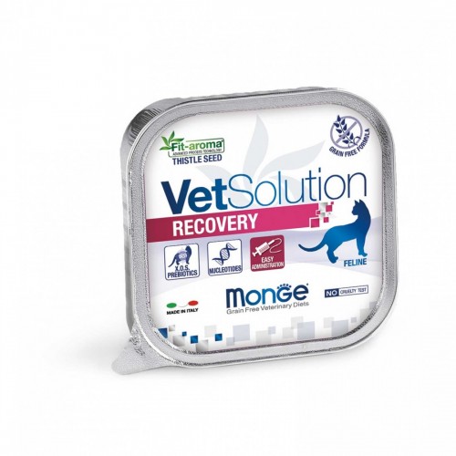 MONGE GATTO RECOVERY 24 pz x 100 gr