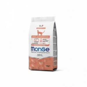 MONGE GATTO ADULT salmone...