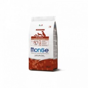 MONGE CANE PUPPY...