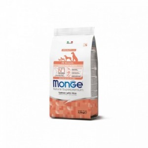 MONGE CANE PUPPY...