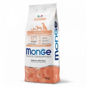 MONGE CANE PUPPY...