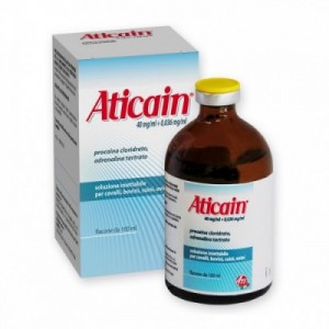 ATICAIN 40 mg/ml 100 ml