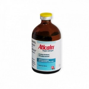 ATICAIN 40 mg/ml 100 ml 2