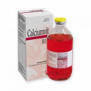 CALCIUM VIT B12 500 ml ATI