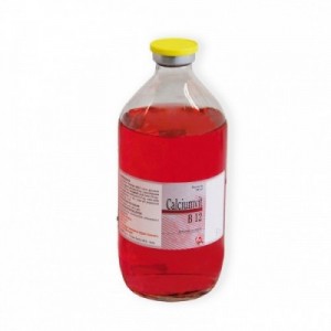 CALCIUM VIT B12 500 ml ATI 2