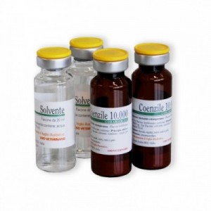 COENZILE 10.000