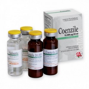 COENZILE 10.000 2