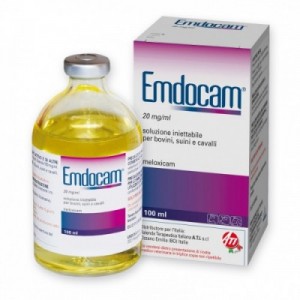 EMDOCAM 20 mg/ml 100 ml