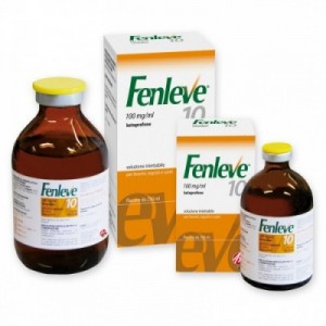 FENLEVE 10 100 ml