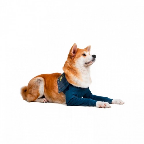 MPS PROTECTIVE TAZ2 SHIRT XL tutor...