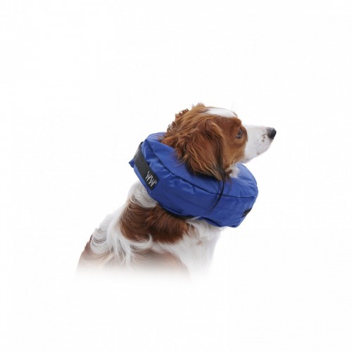 COLLARE GONFIABILE BUSTER (procollar)...
