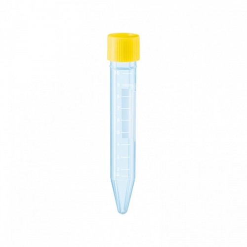 PROVETTE 10 ml PP CONICA T.VITE...