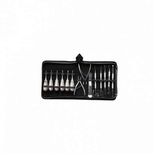 SET DENTALI PER CN E GT 14 PZ MANICO...