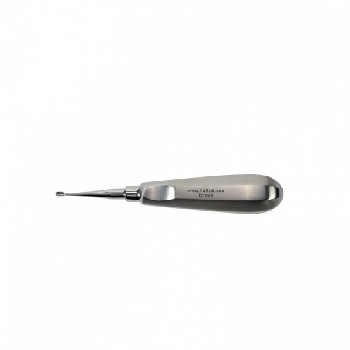 LEVA DENTALE 3 MM MANICO STANDARD ALATA