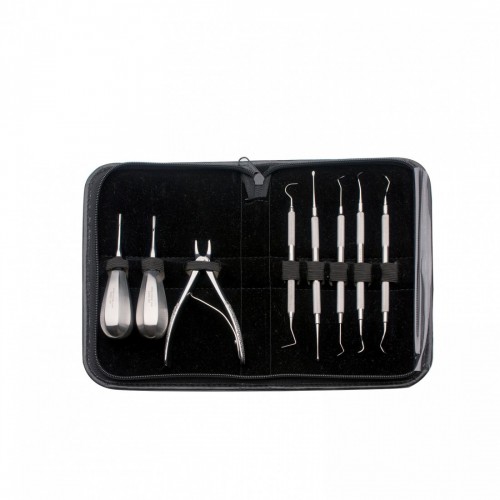 SET DA 8 PZ  rimozione tartaro (gt/cn...