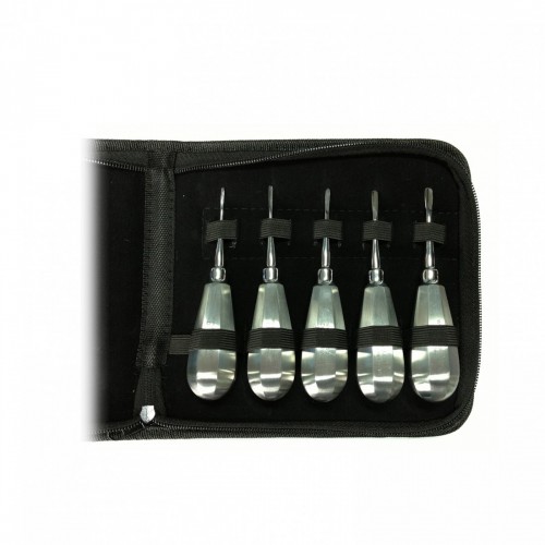 SET DA 5 LEVE DENTALI PER LUSSAZIONE