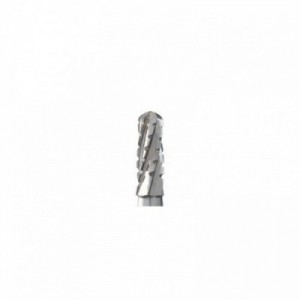 FRESE 5 PZ FG Crosscut...